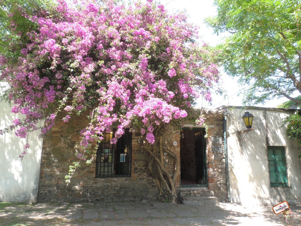 colônia del sacramento uruguai