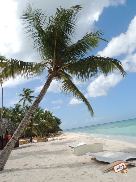 Ilha de Saona em Punta Cana