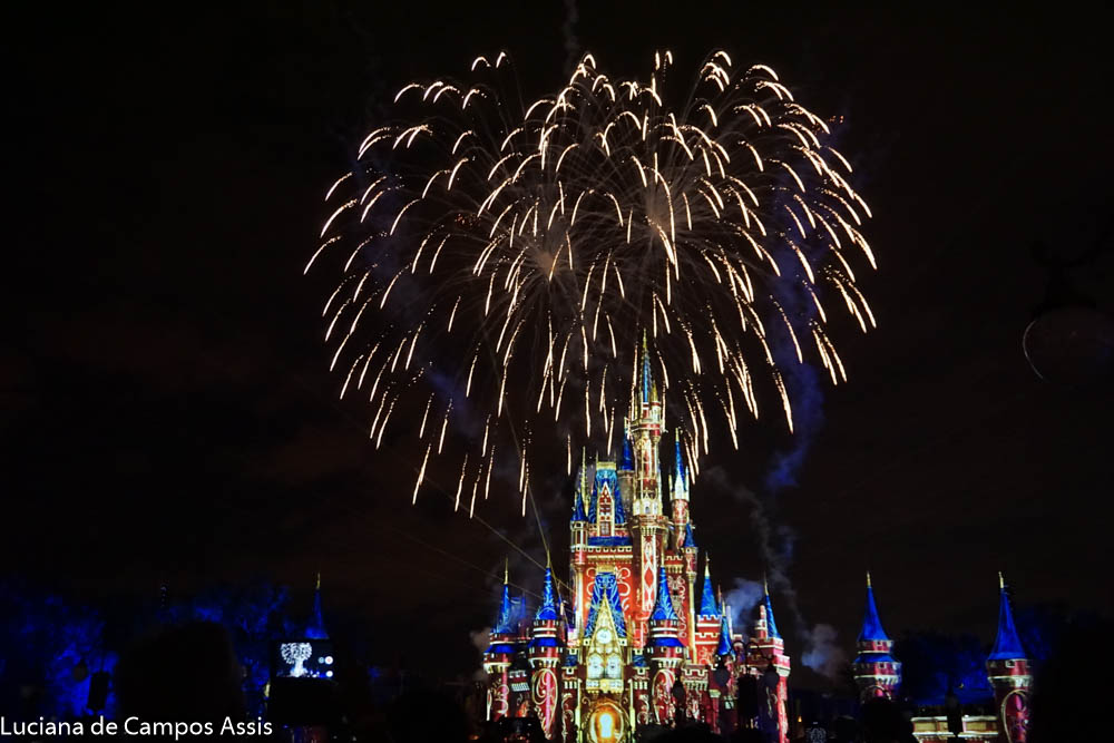 Disney Magic Kingdom