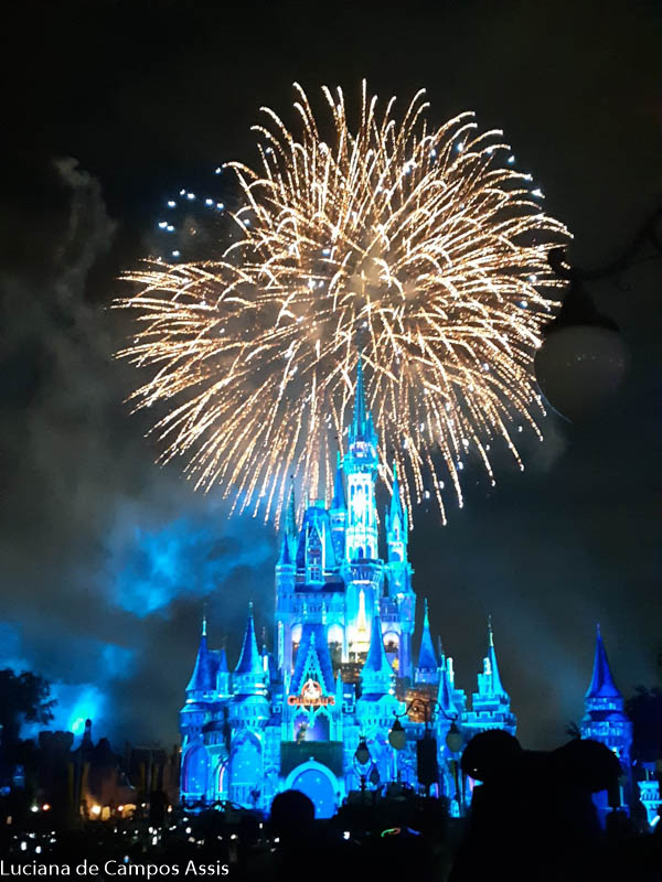 Disney Magic Kingdom