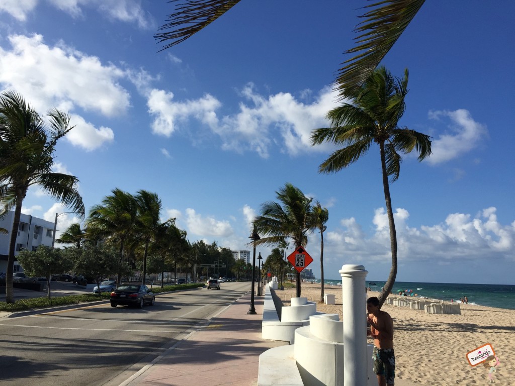 passeios em miami fort lauderdale