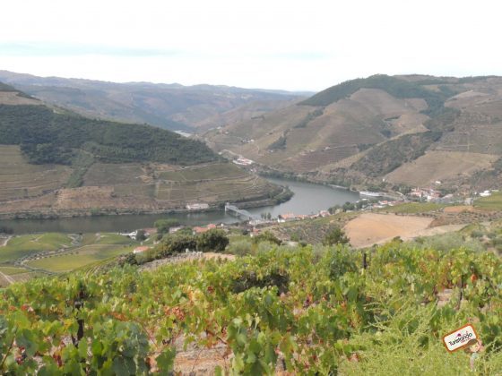 passeio pelo rio douro