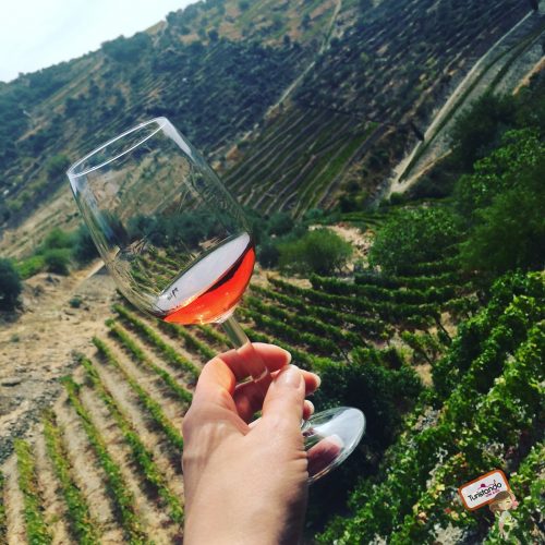 Degustação de vinhos no Vale do Douro