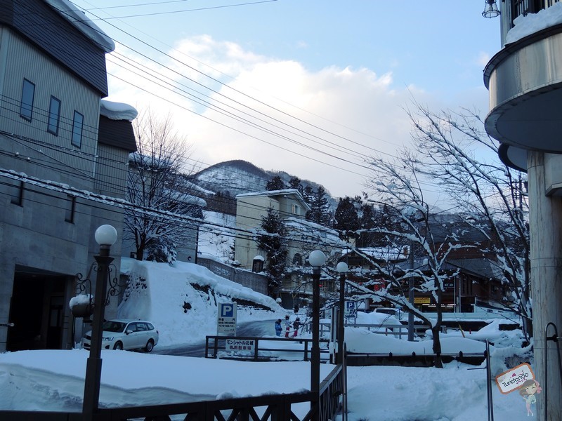 nagano-japao-jigokudani-10