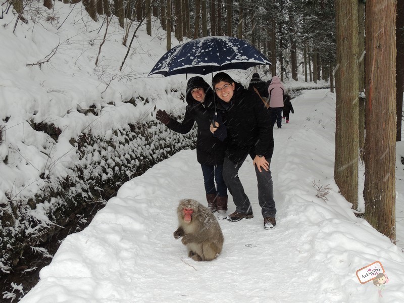 nagano-japao-jigokudani-20