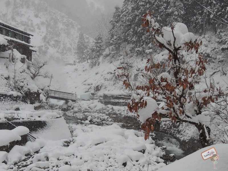 nagano-japao-jigokudani-21