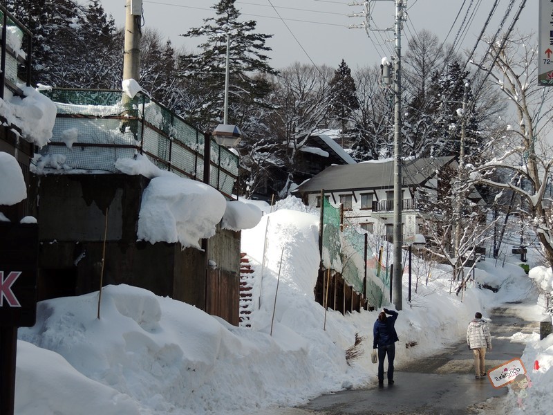 nagano-japao-jigokudani-9