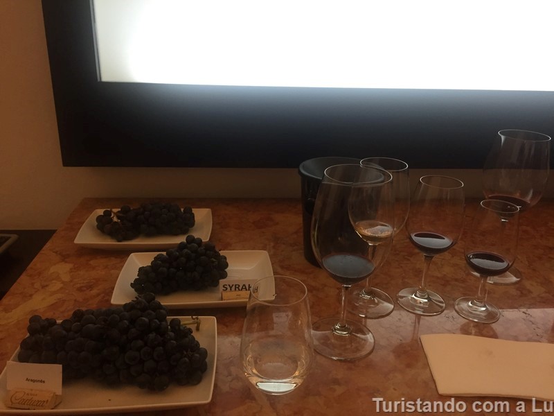 tipos de uva na vinícola cartuxa