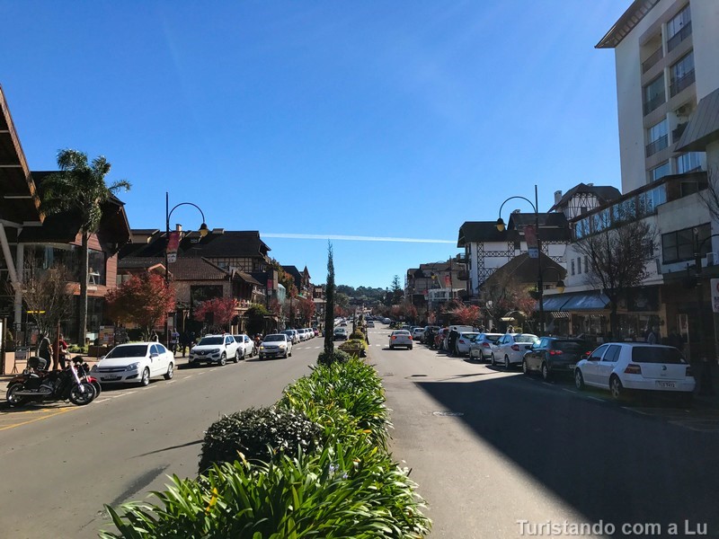 Avenida Borges de Medeiros - foto Lu