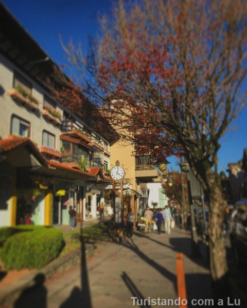roteiro gramado