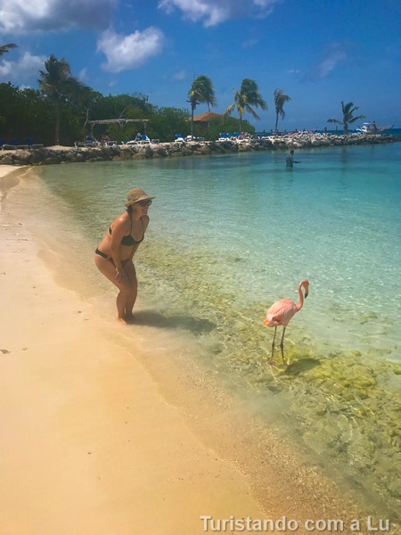 flamingo beach