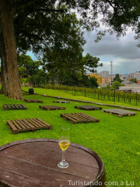 Vale dos Vinhedos: roteiro e dicas pra conhecer a região da Serra Gaúcha