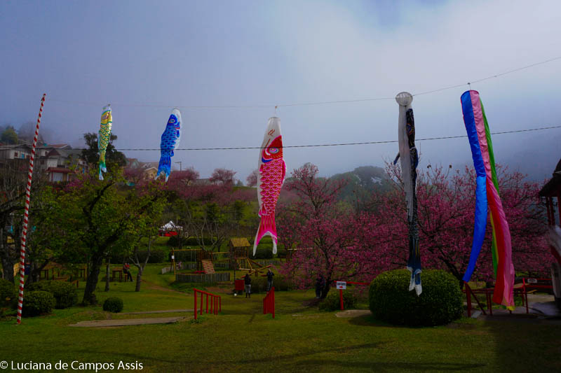 o que fazer em campos do jordão