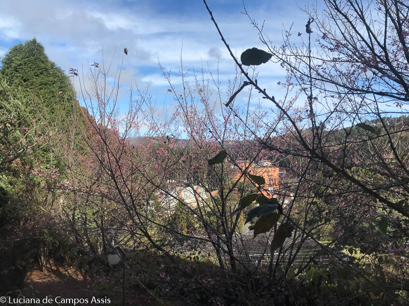onde ficar em campos do jordão