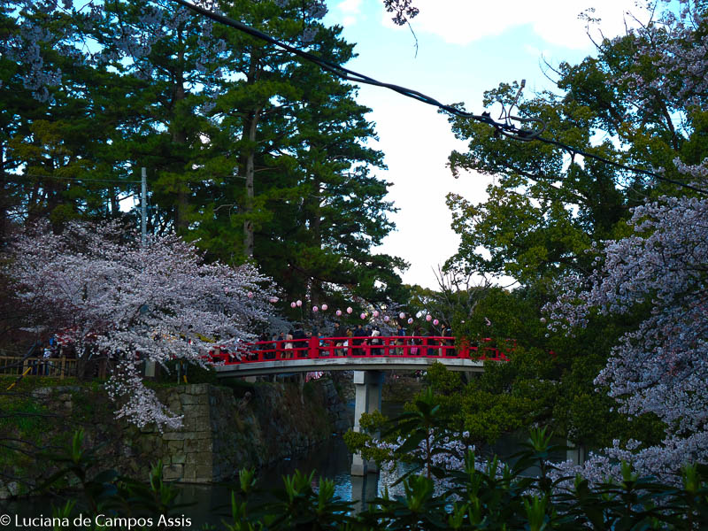 japão em abril