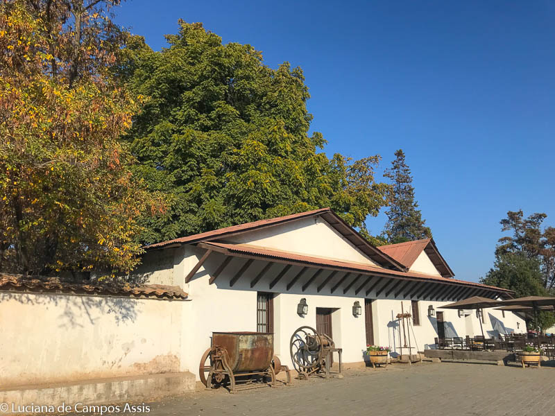 vinícola santa rita em santiago