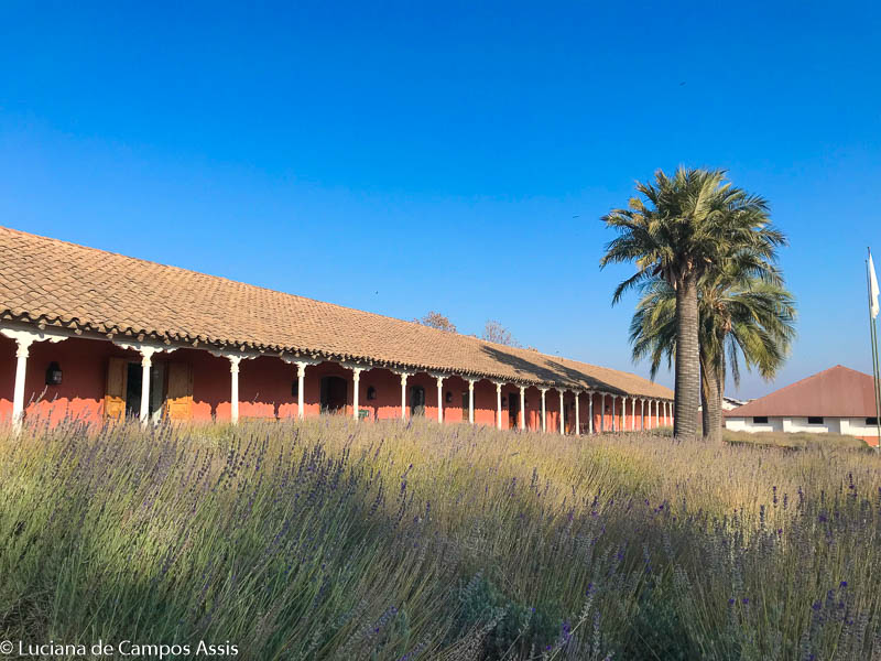 vinícola santa rita em santiago