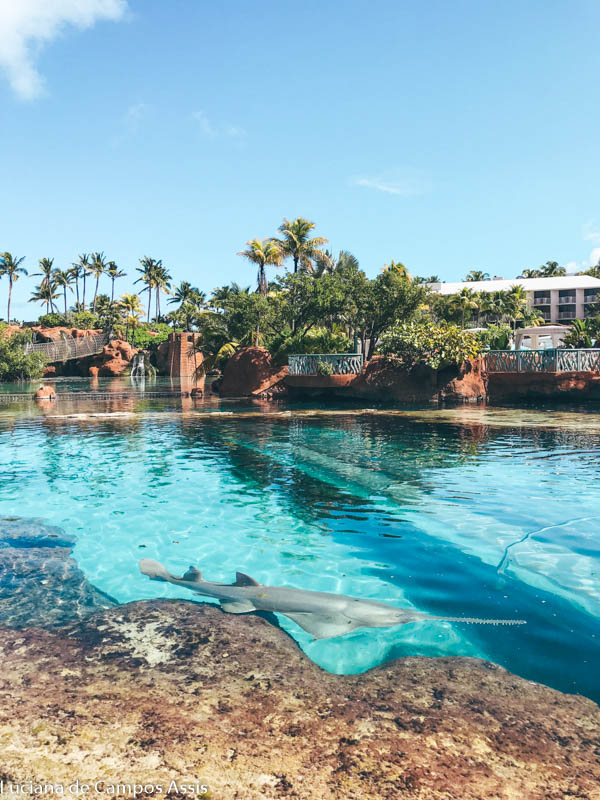 atlantis paradise island