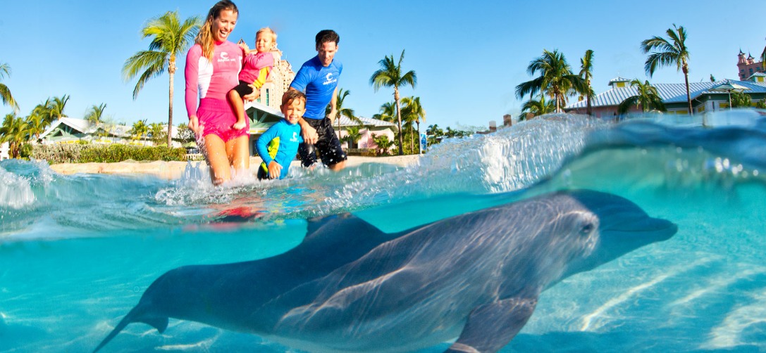 atlantis paradise island