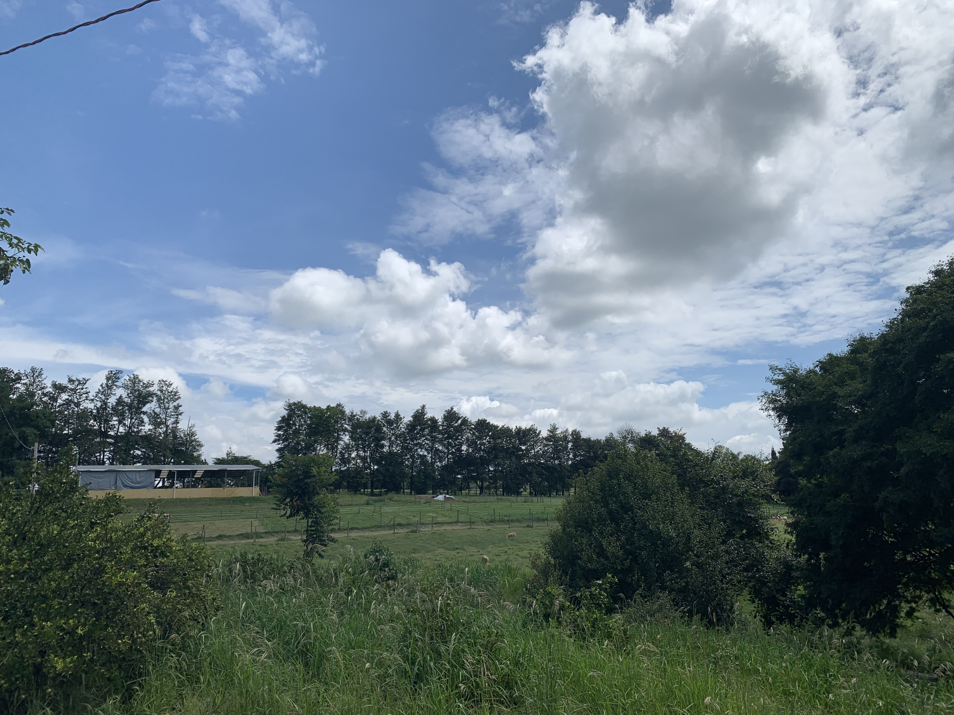 passeio pelo interior de SP