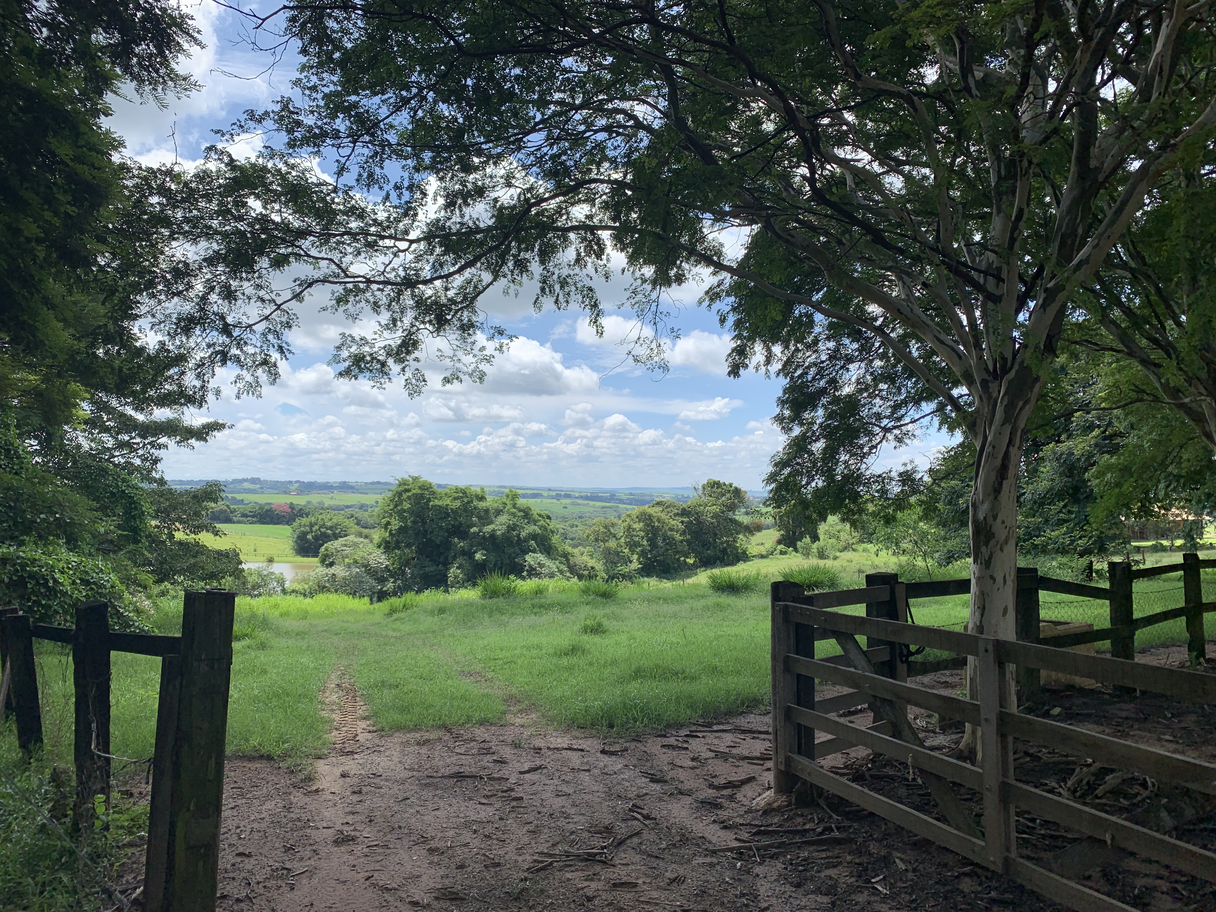 passeio pelo interior de SP