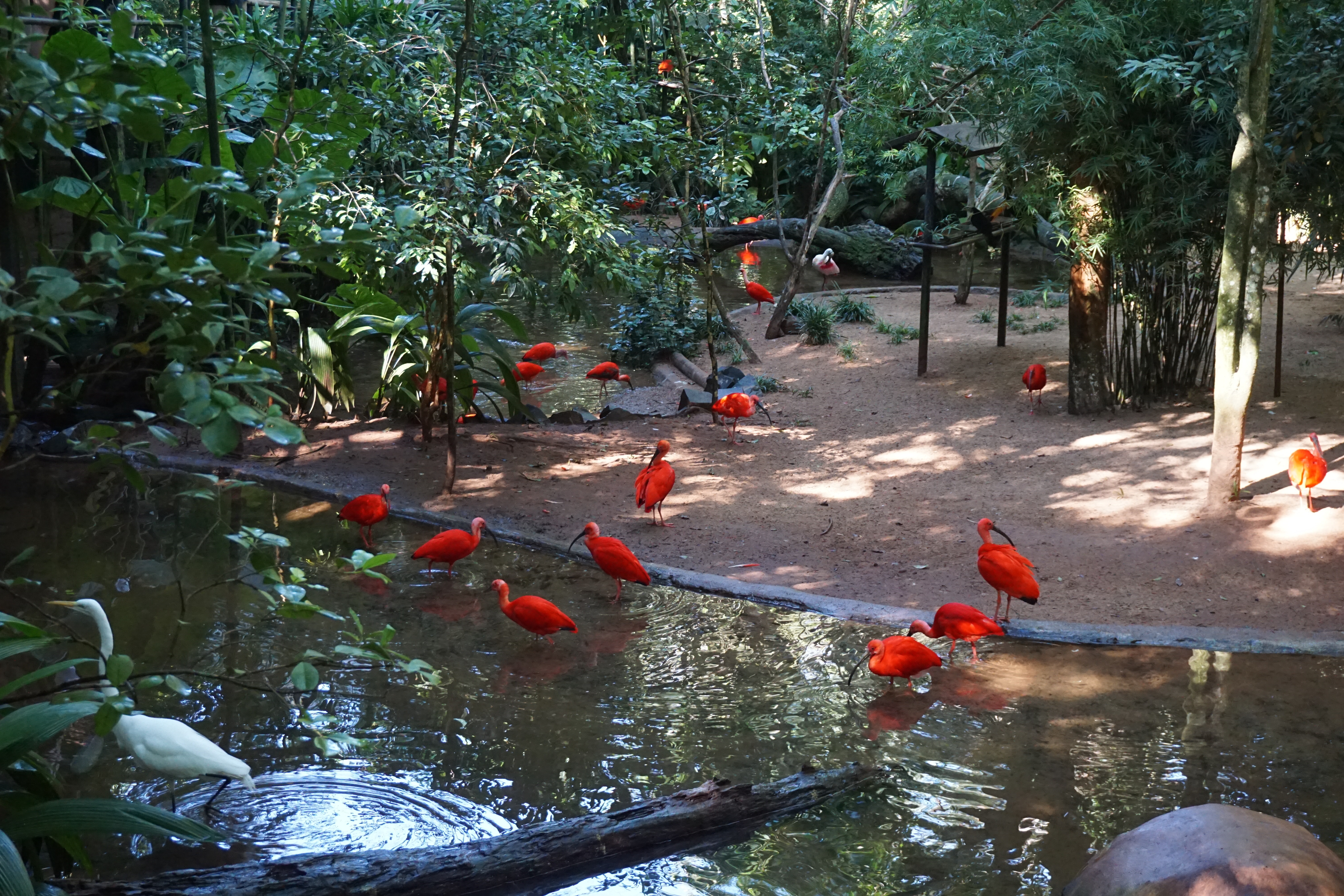 Foz do Iguaçu com crianças