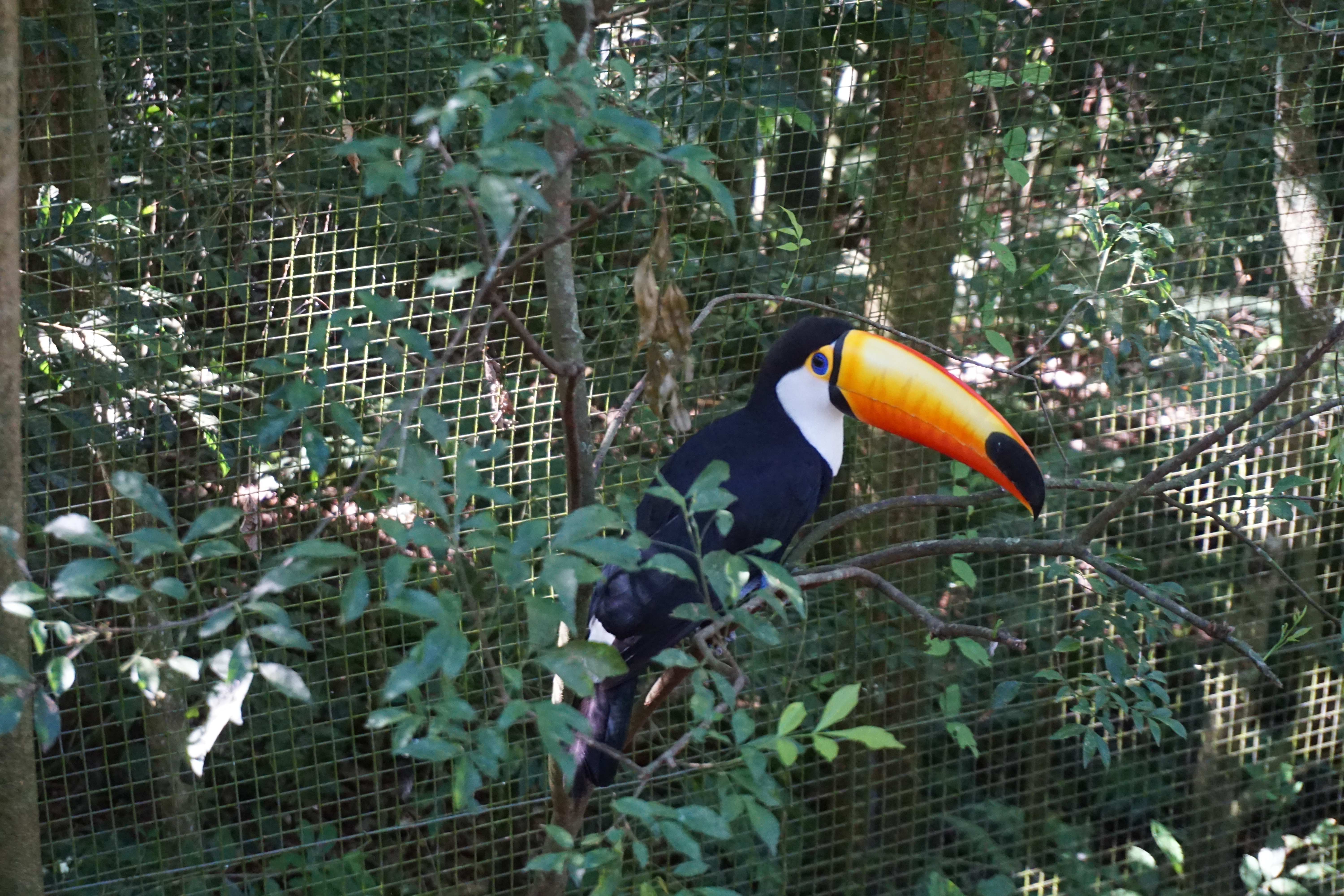 Foz do Iguaçu com crianças