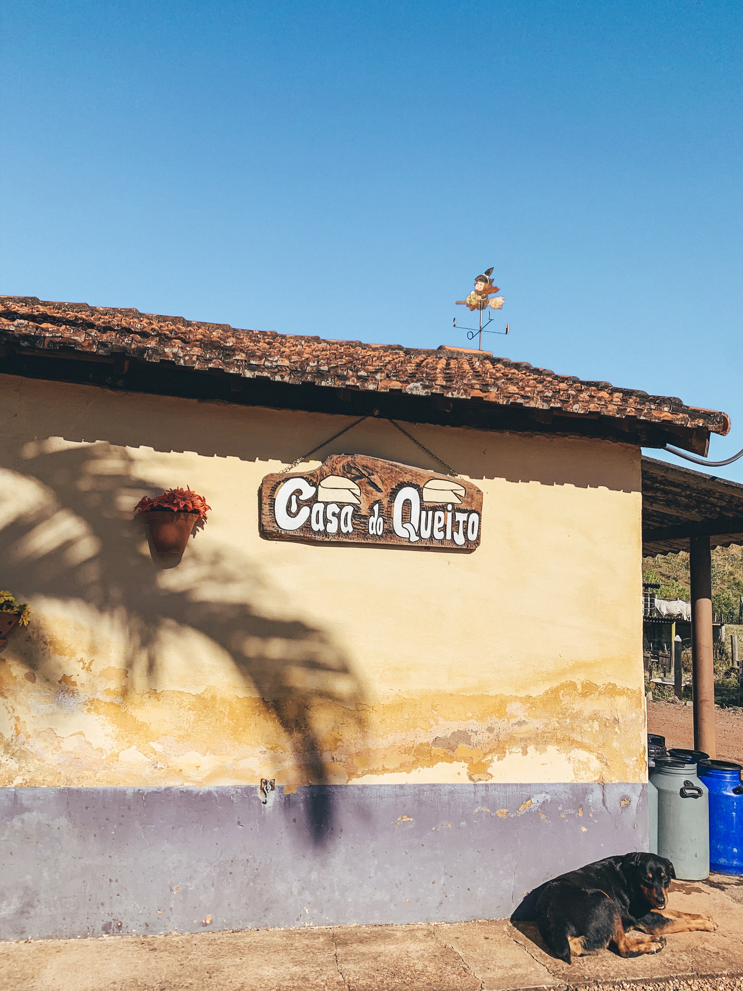 rota turística do queijo e vinho serra negra