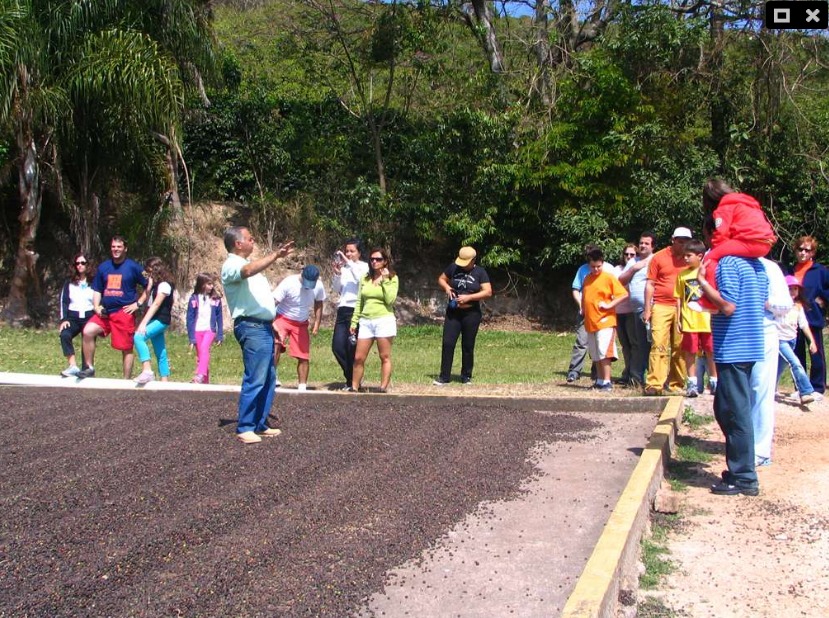 fazenda ouro verde