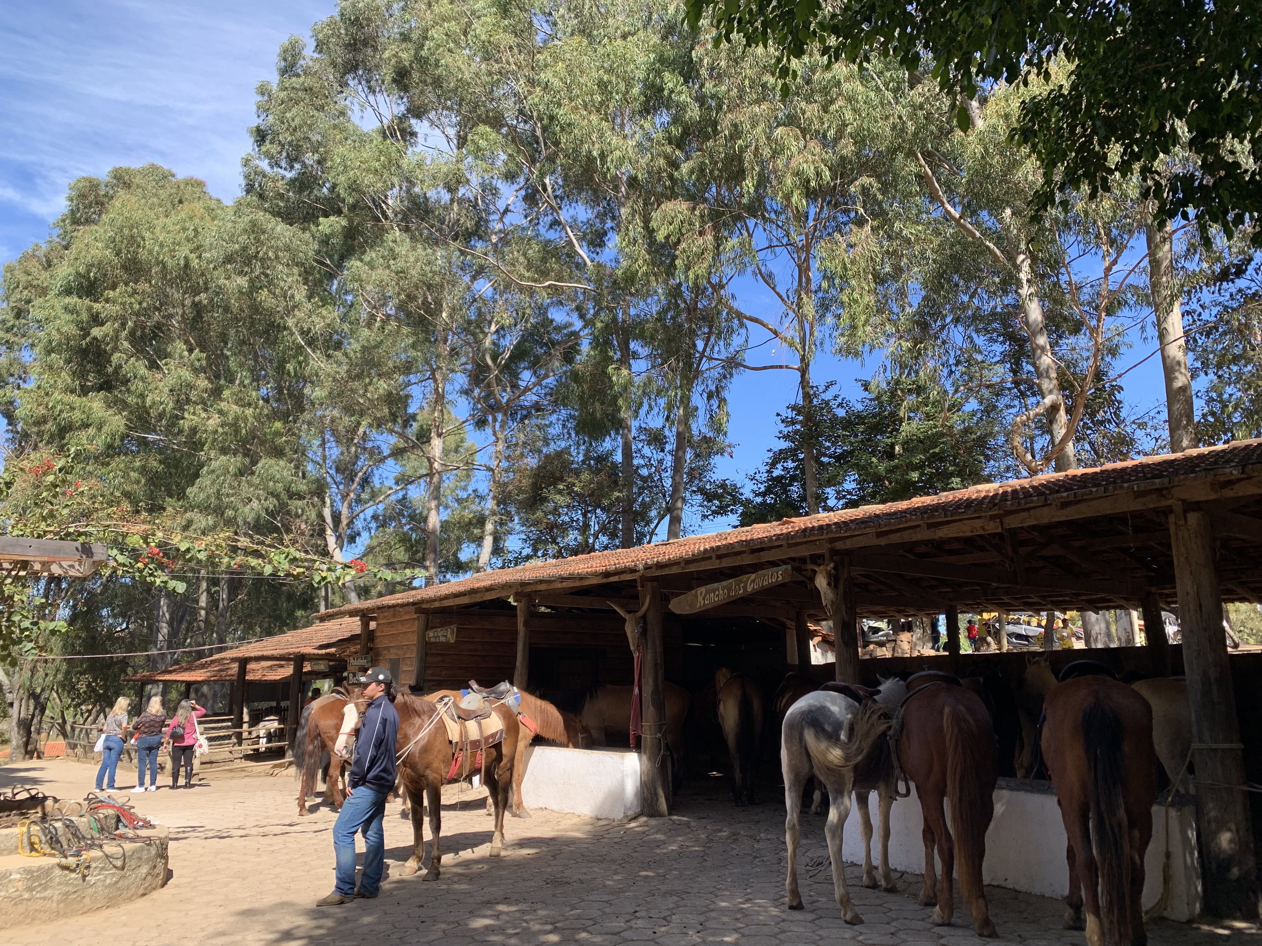 fazenda morro pelado águas de lindoia