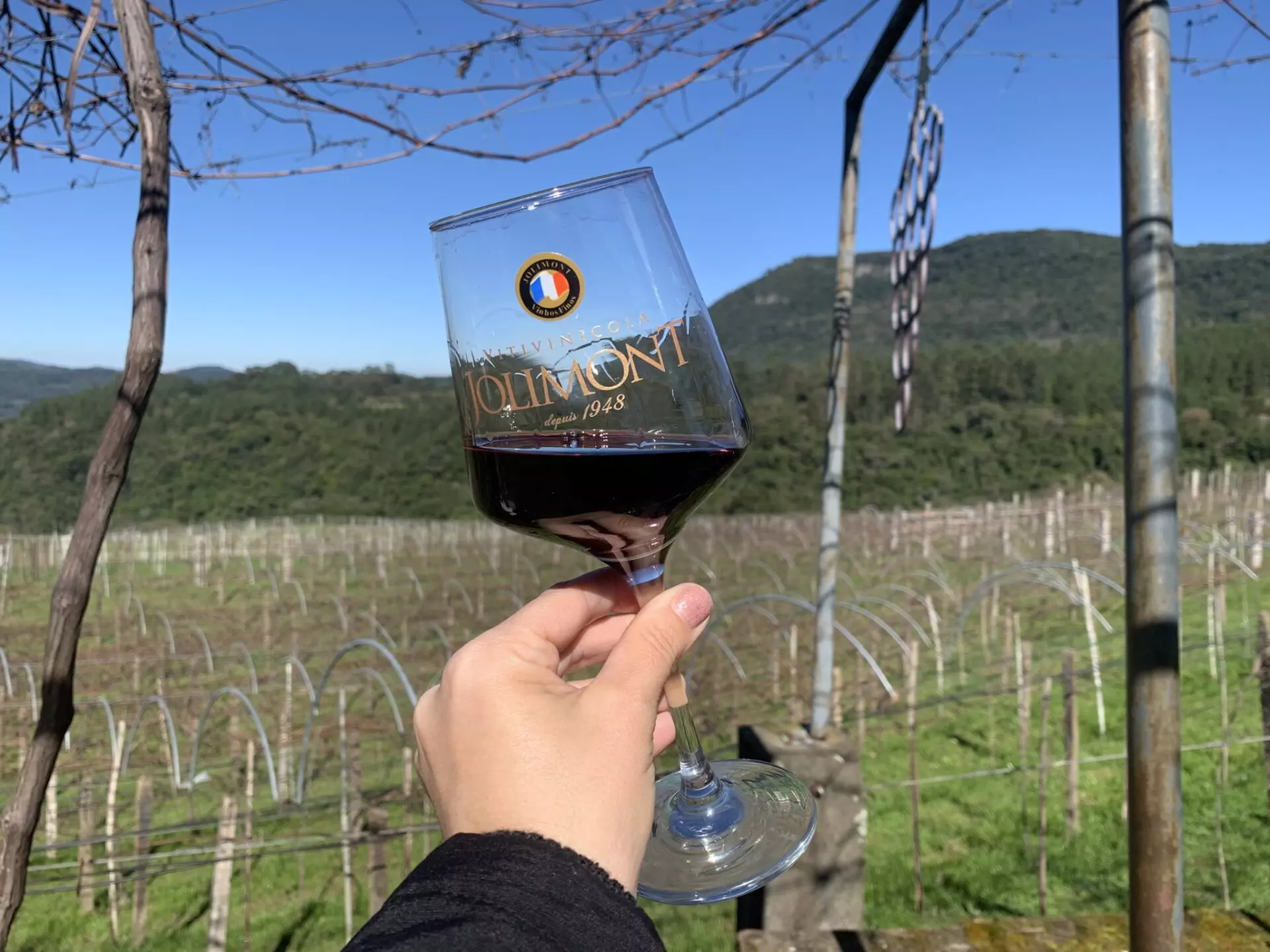 Vinícolas em Gramado e Canela - Wine Locals