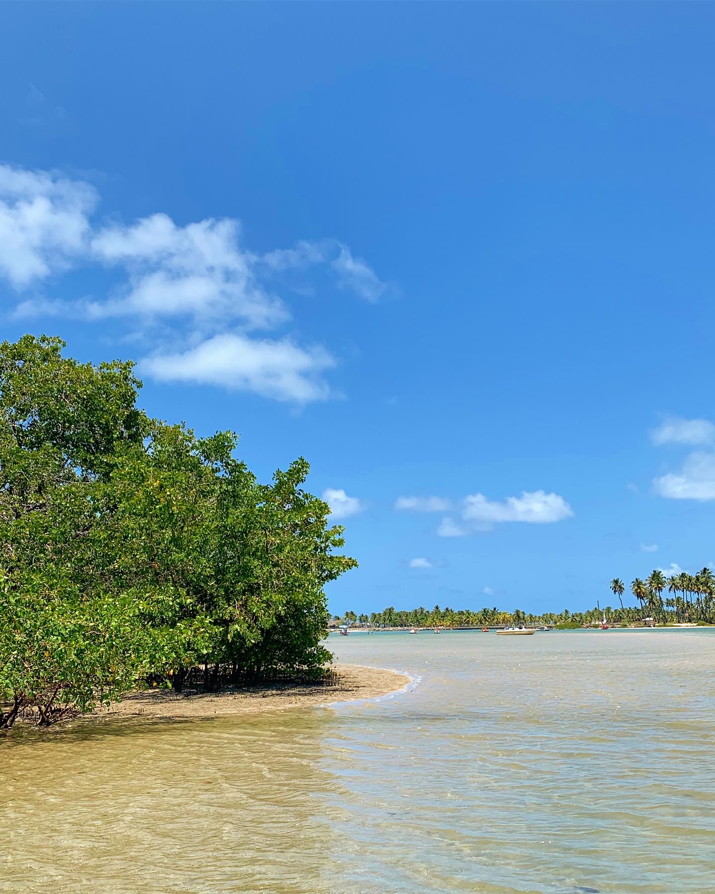 praias em Porto de Galinhas