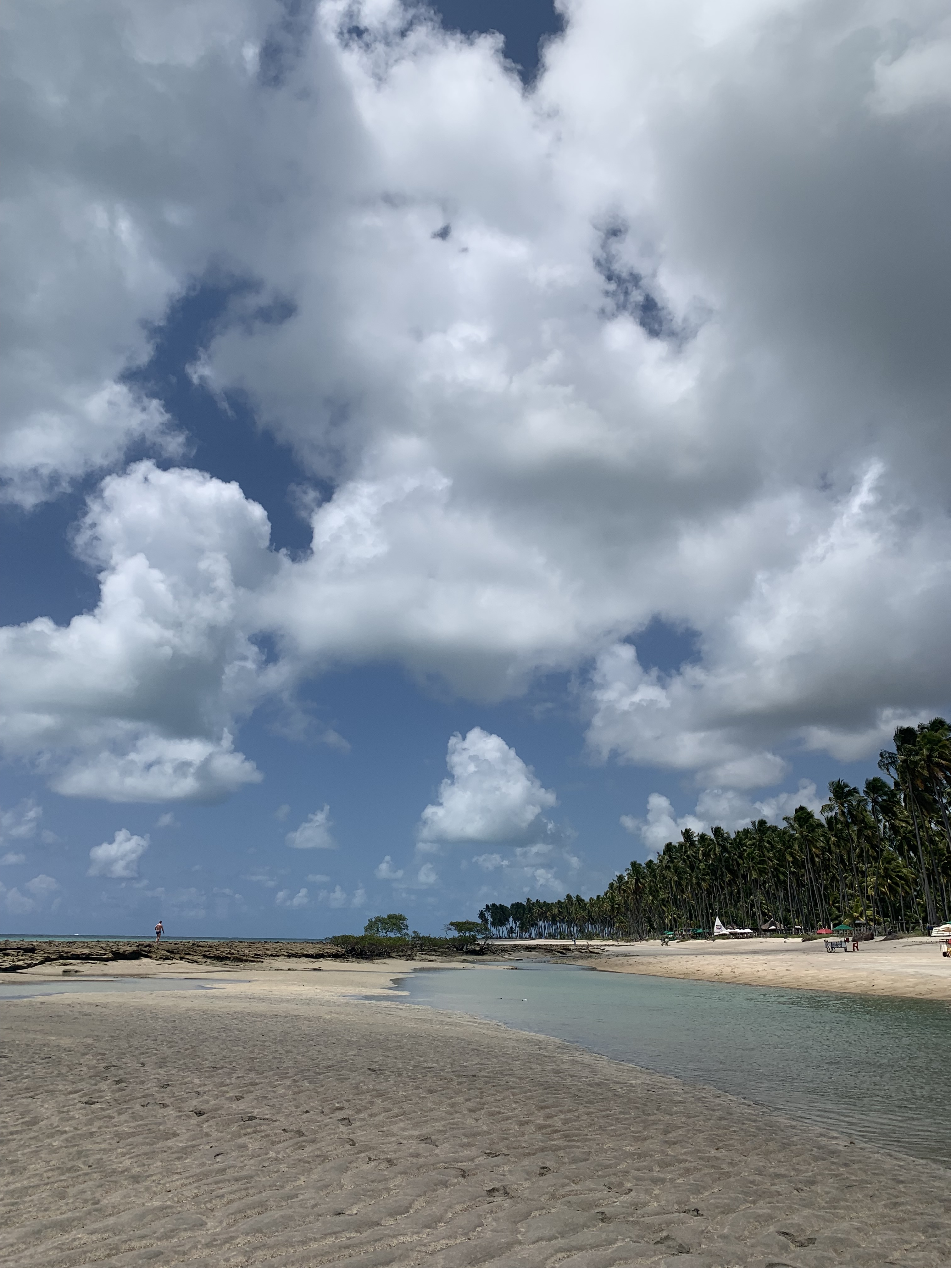 praias em Porto de Galinhas