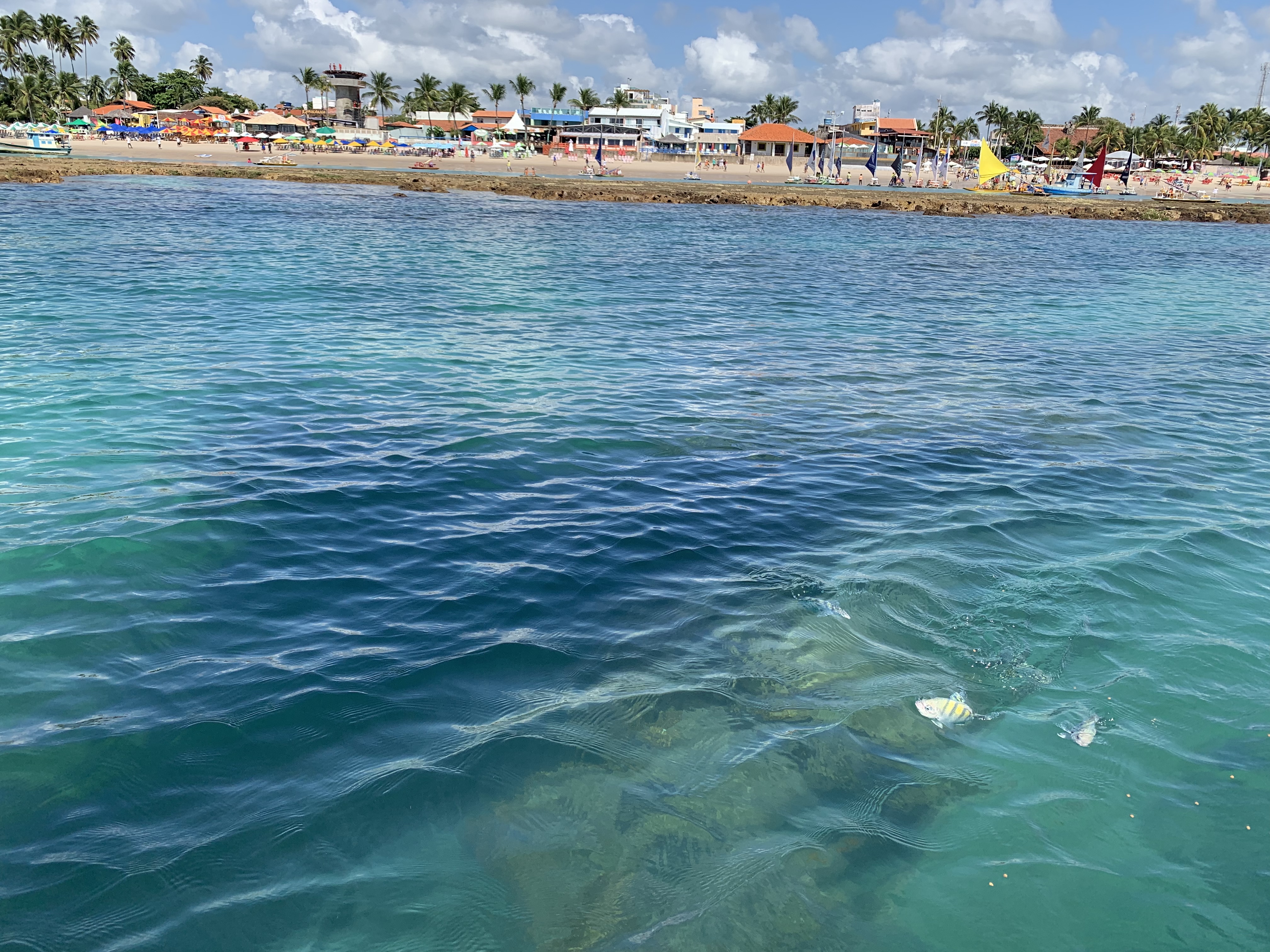 Praias em Porto de Galinhas