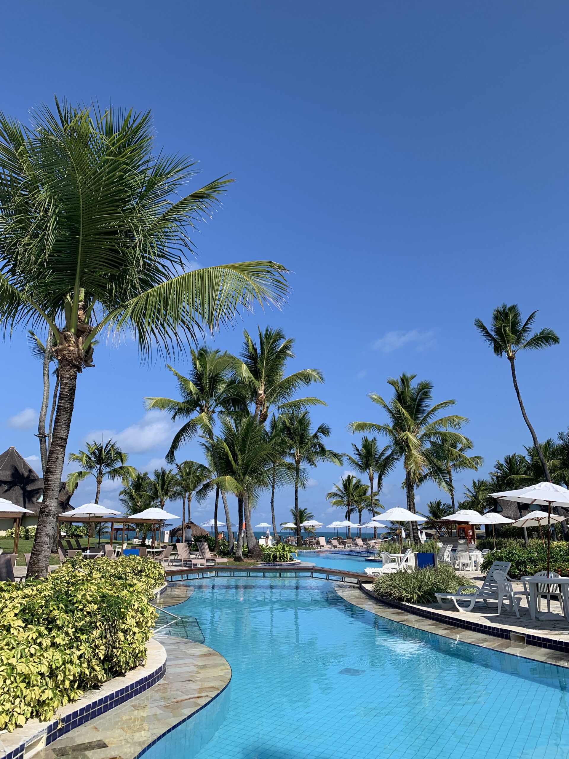 porto de galinhas com crianças