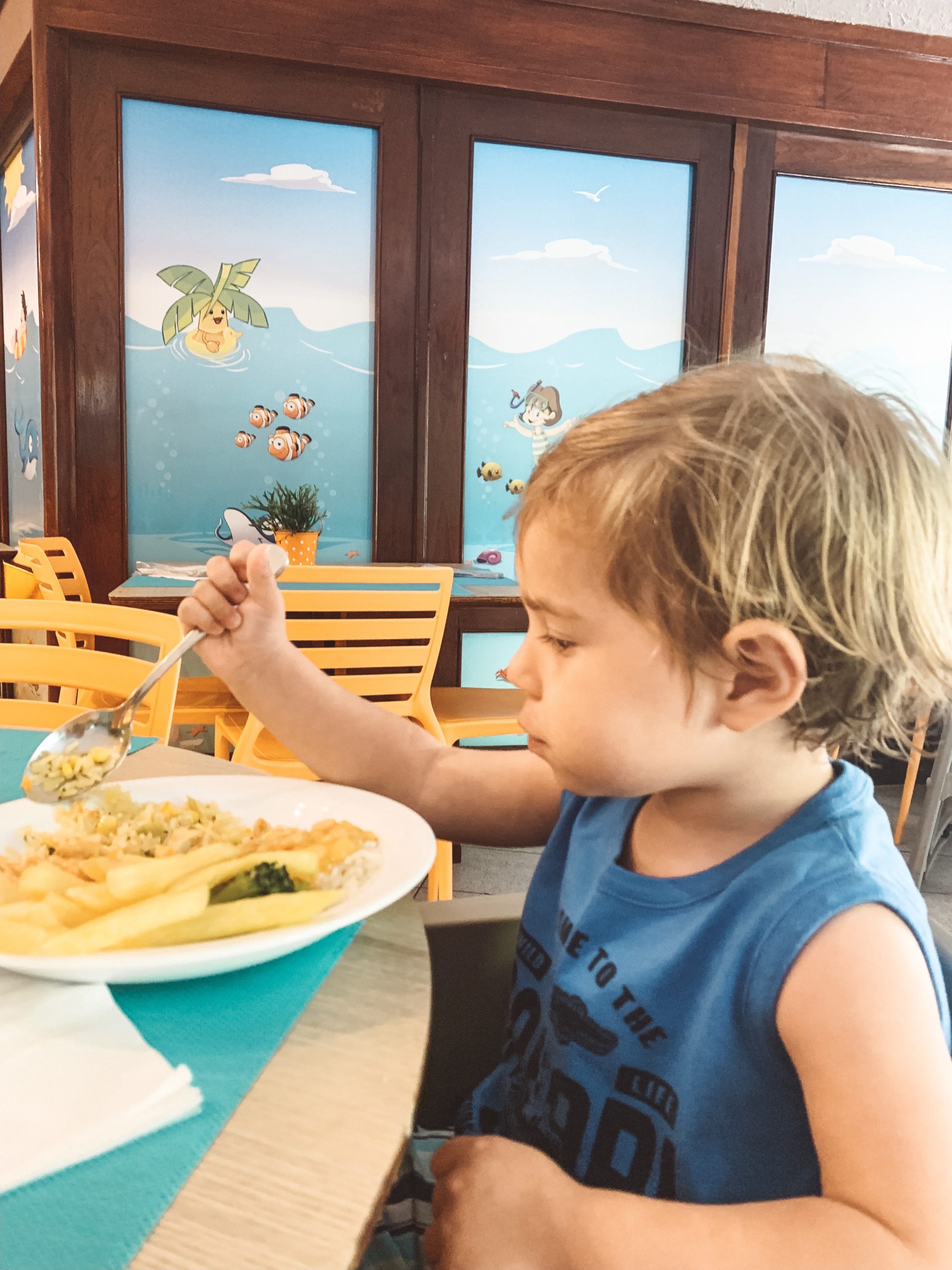 o que fazer em porto de galinhas