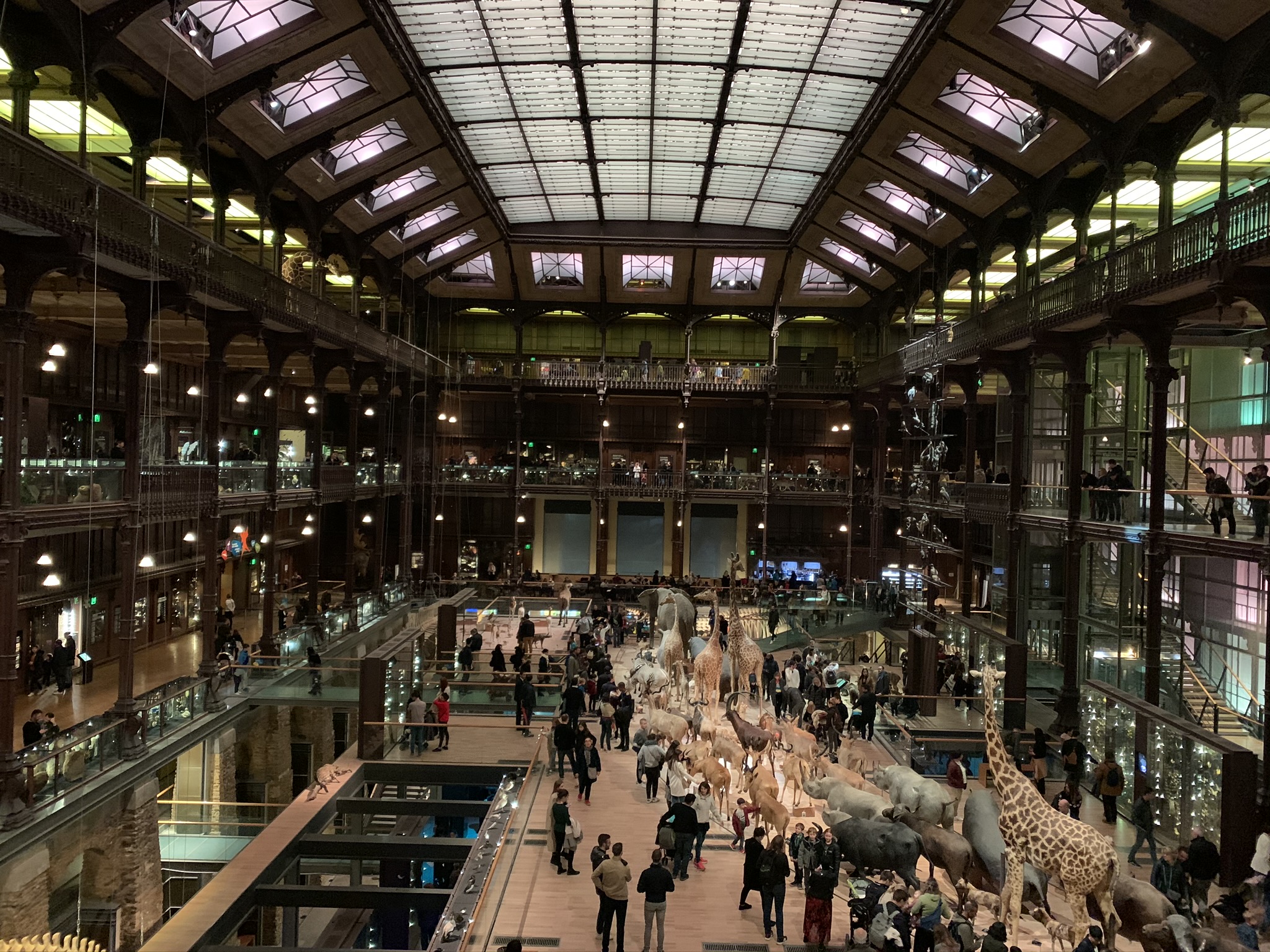 pontos turísticos de paris museu do louvre