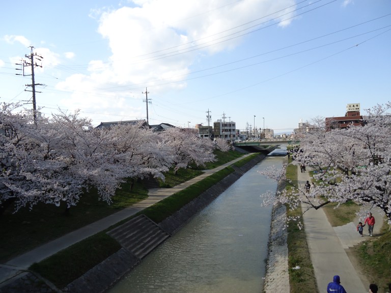 japão em abril