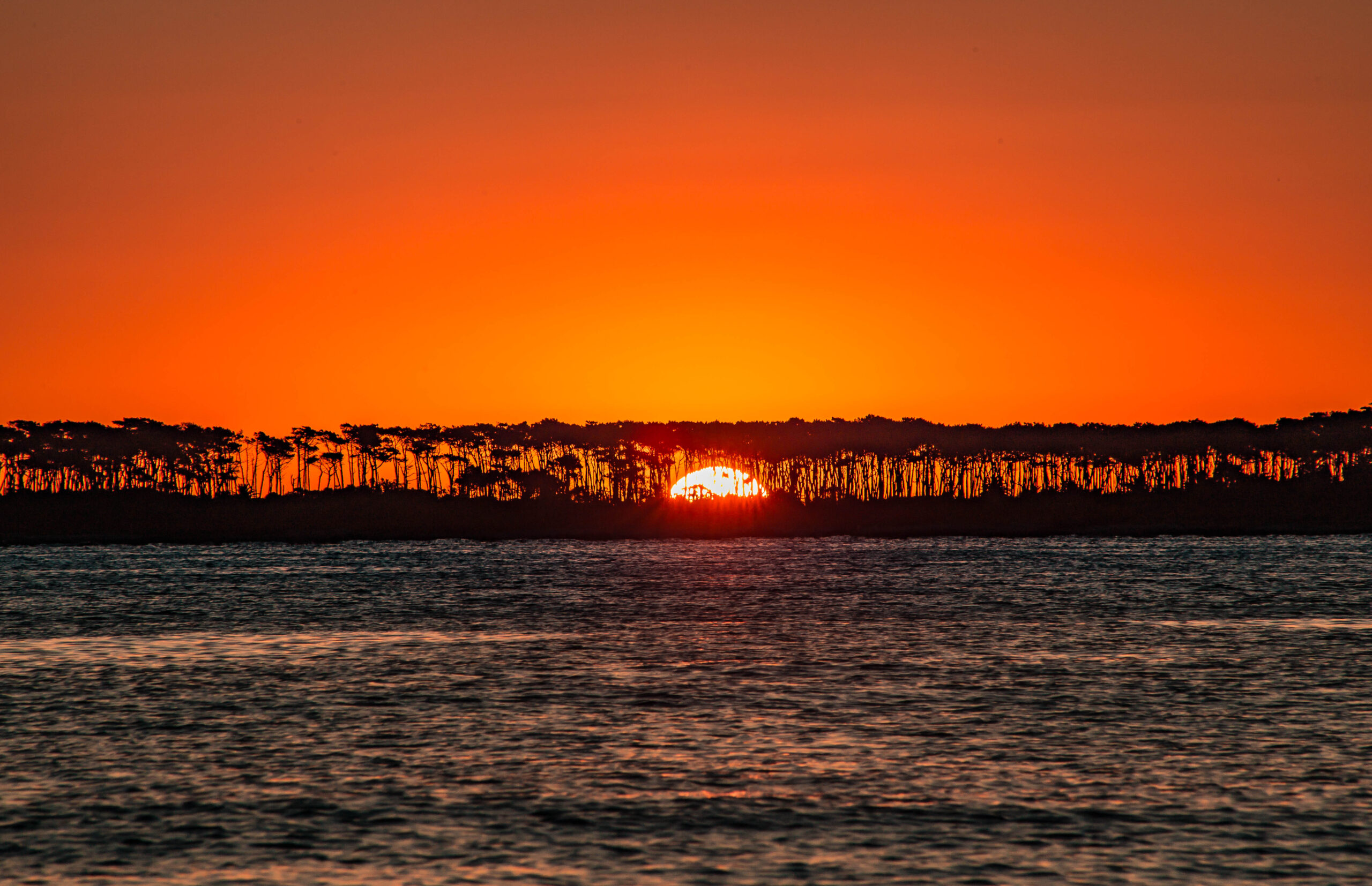 o que fazer em punta del este