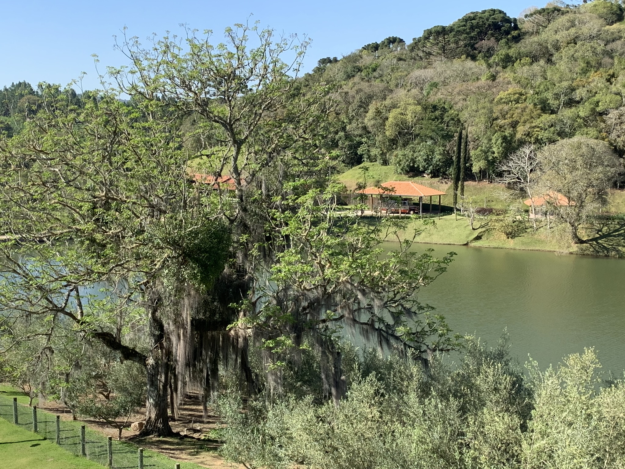 vinícolas em sp