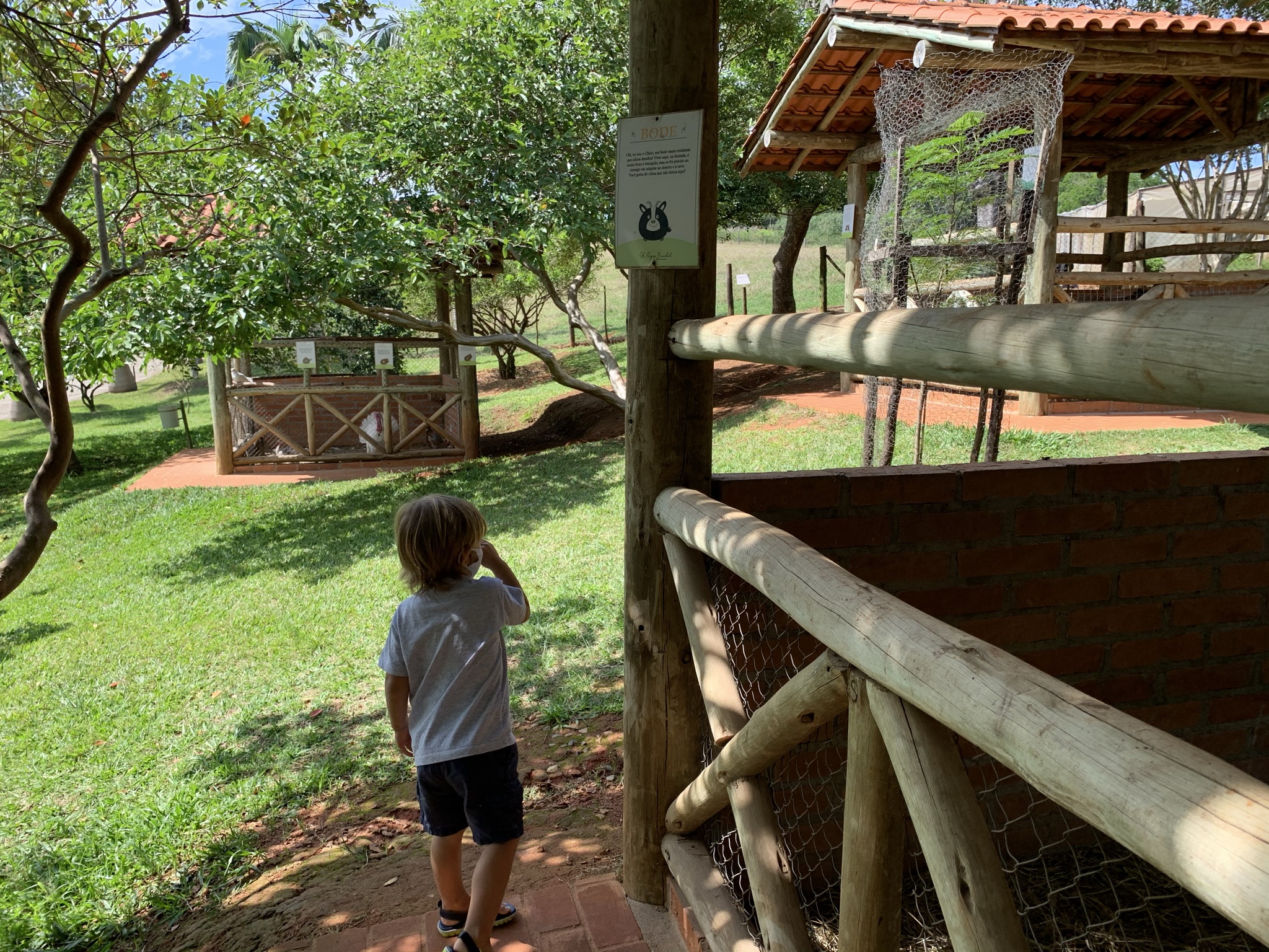 passeios em sp com crianças