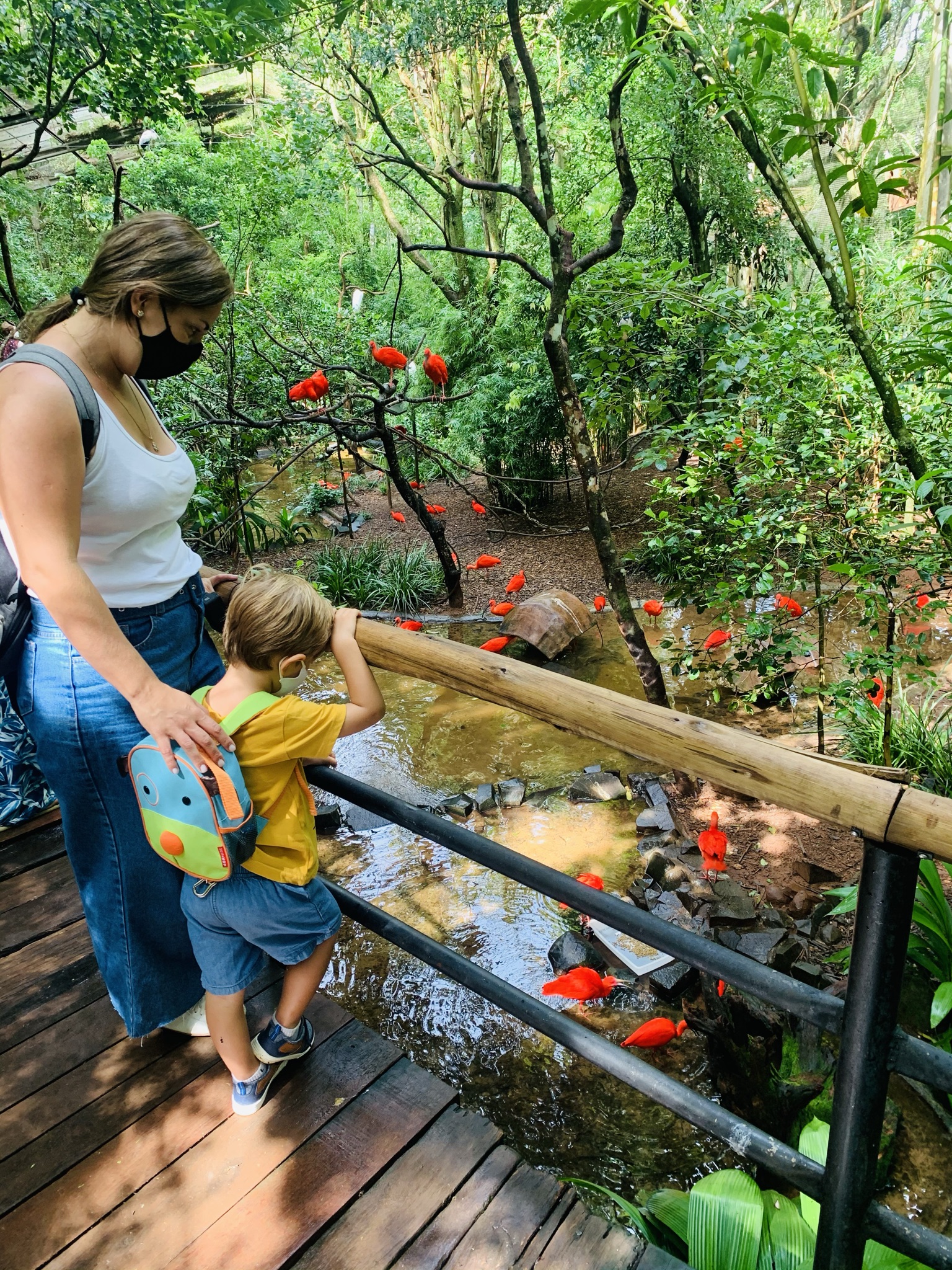 Foz do Iguaçu na Pandemia