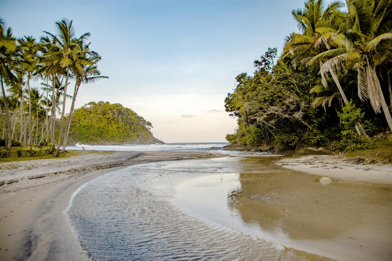 Nordeste com Crianças