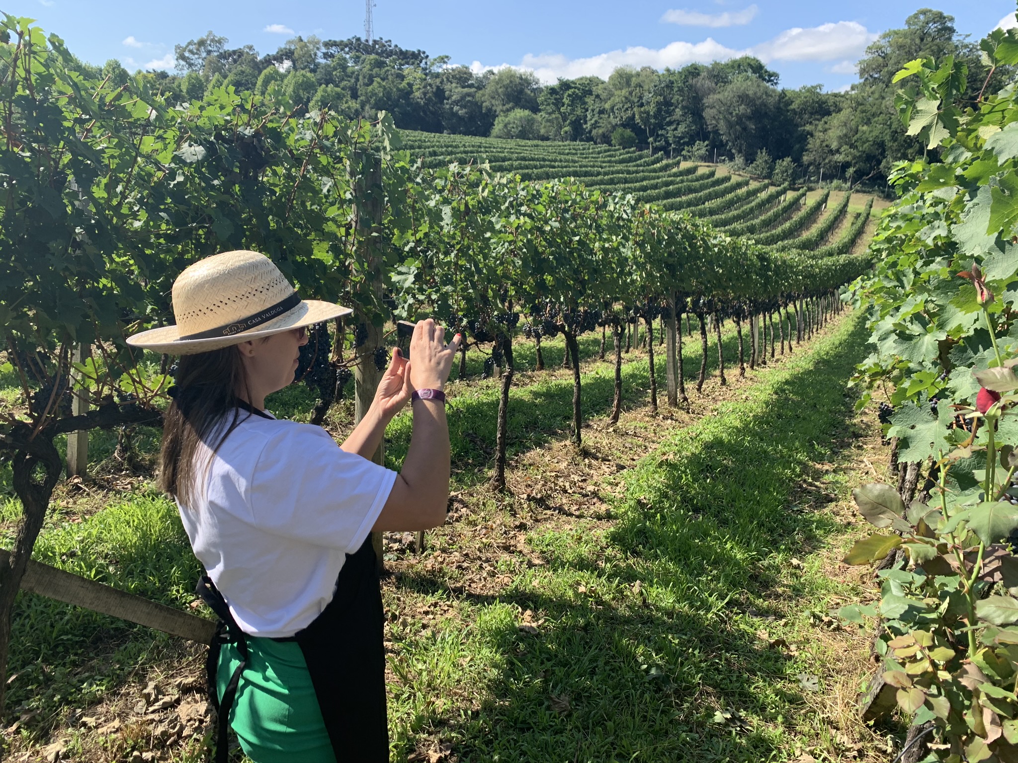 Vale dos Vinhedos Roteiro