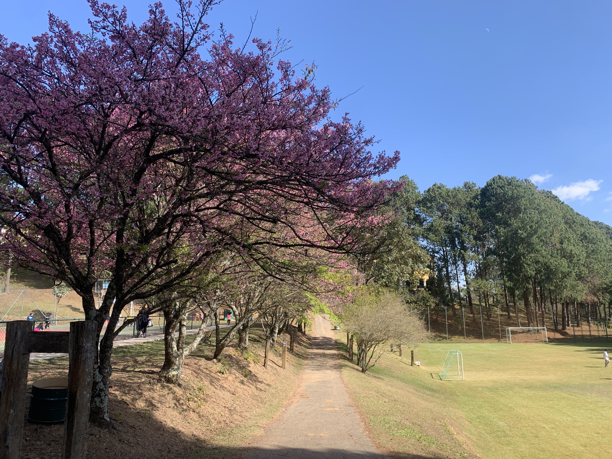 Monreale Poços de Caldas